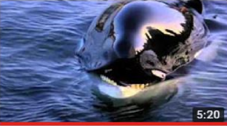 Michael Jackson - Will You Be There (Free Willy)