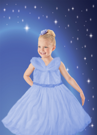 Blue Rose Princess Dress