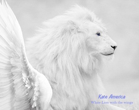 White Lion with the wings and have blue eyes
